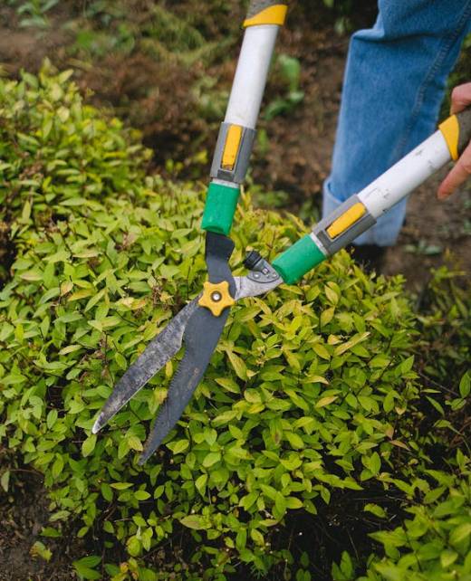 garden care Crafty